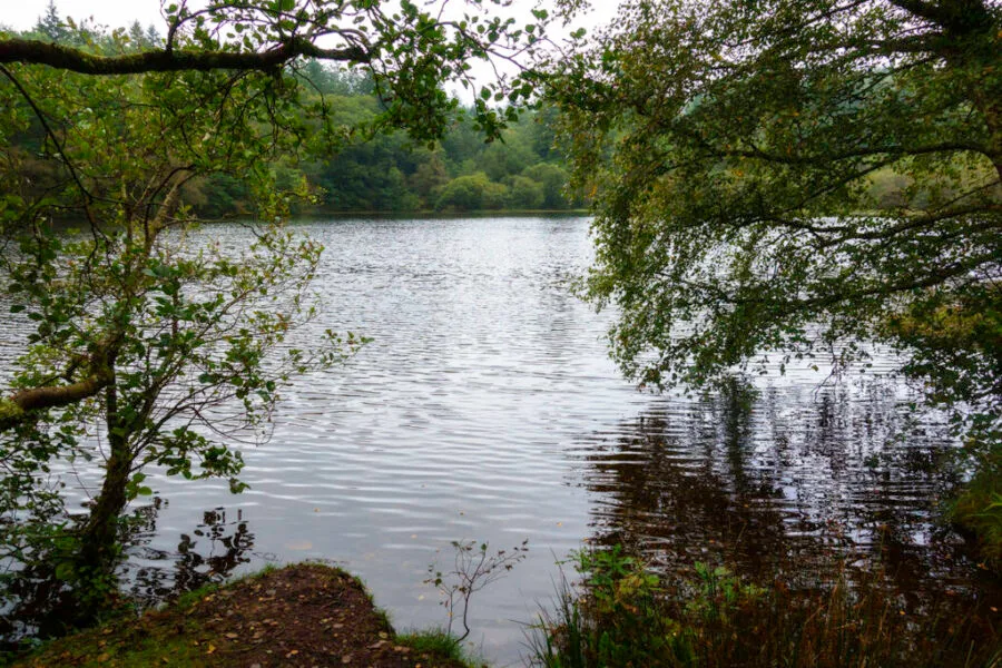 Llyn Mair Llyn Mair
