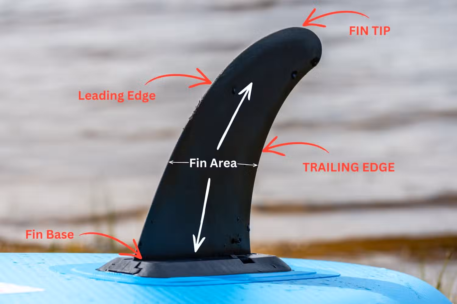 SUP Fin Design