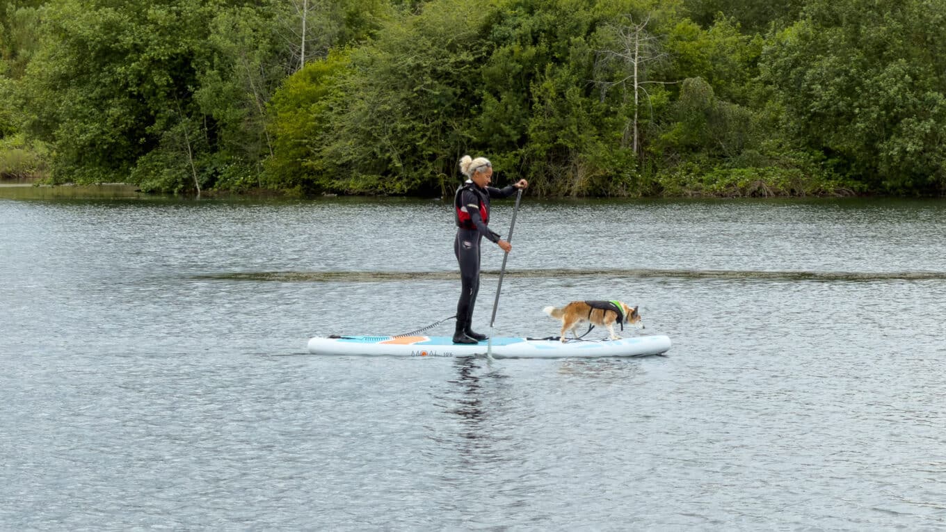 Testing the MOAI All-round paddleboard with paddler and dog