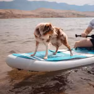 Moai Paddleboard Dogpad