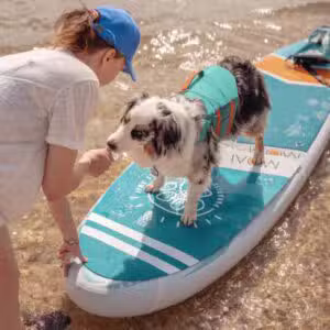 Moai Paddleboard Dogpad Deckpad